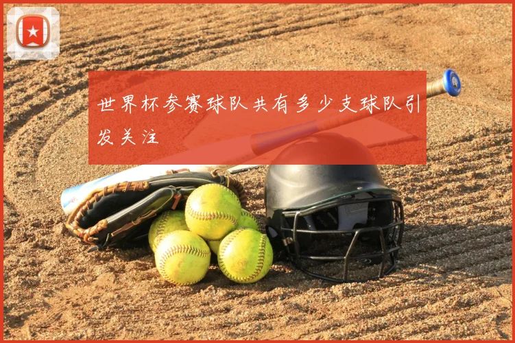 世界杯参赛球队共有多少支球队引发关注