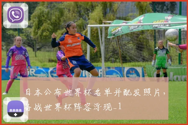 日本公布世界杯名单并配发照片,备战世界杯阵容浮现_1