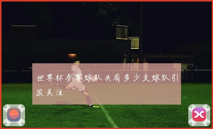 世界杯参赛球队共有多少支球队引发关注