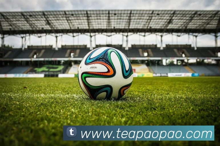 App Interface Preview